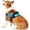 Show in main carousel: Julius-K9 IDC Powerharness Nylon Reflective No Pull Dog Harness, Aquamarine, Size 0: 22.8 to 30-in chest slide 4 of 12