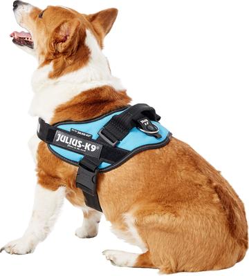 Show full view: Julius-K9 IDC Powerharness Nylon Reflective No Pull Dog Harness, Aquamarine, Size 0: 22.8 to 30-in chest slide 4 of 12
