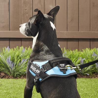 Show full view: Julius-K9 IDC Powerharness Nylon Reflective No Pull Dog Harness, Aquamarine, Size 0: 22.8 to 30-in chest slide 6 of 12