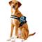 Show in main carousel: Julius-K9 IDC Powerharness Nylon Reflective No Pull Dog Harness, Aquamarine, Size 2: 28 to 37.5-in chest slide 4 of 13