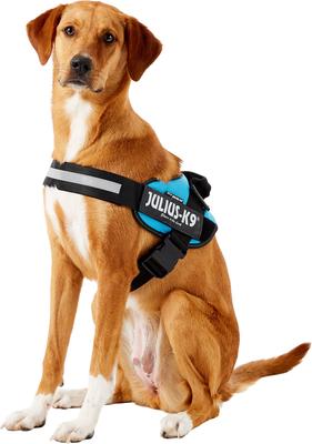 Show full view: Julius-K9 IDC Powerharness Nylon Reflective No Pull Dog Harness, Aquamarine, Size 2: 28 to 37.5-in chest slide 4 of 13