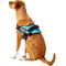 Show in main carousel: Julius-K9 IDC Powerharness Nylon Reflective No Pull Dog Harness, Aquamarine, Size 2: 28 to 37.5-in chest slide 5 of 13