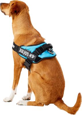 Show full view: Julius-K9 IDC Powerharness Nylon Reflective No Pull Dog Harness, Aquamarine, Size 2: 28 to 37.5-in chest slide 5 of 13