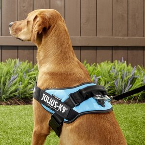 Julius-K9 IDC Powerharness Nylon Reflective No Pull Dog Harness, Aquamarine, Size 2: 28 to 37.5-in chest