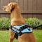 Show in main carousel: Julius-K9 IDC Powerharness Nylon Reflective No Pull Dog Harness, Aquamarine, Size 2: 28 to 37.5-in chest slide 7 of 13