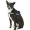 Show in main carousel: Julius-K9 IDC Powerharness Nylon Reflective No Pull Dog Harness, Black, Size 0: 22.8 to 30-in chest slide 3 of 12