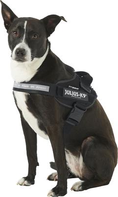 Show full view: Julius-K9 IDC Powerharness Nylon Reflective No Pull Dog Harness, Black, Size 0: 22.8 to 30-in chest slide 3 of 12