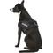 Show in main carousel: Julius-K9 IDC Powerharness Nylon Reflective No Pull Dog Harness, Black, Size 0: 22.8 to 30-in chest slide 4 of 12