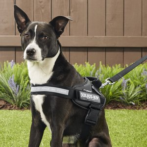 Julius-K9 IDC Powerharness Nylon Reflective No Pull Dog Harness, Black, Size 0: 22.8 to 30-in chest