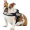 Show in main carousel: Julius-K9 IDC Powerharness Nylon Reflective No Pull Dog Harness, Black, Size 1: 26 to 33.5-in chest slide 3 of 12