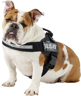 Show full view: Julius-K9 IDC Powerharness Nylon Reflective No Pull Dog Harness, Black, Size 1: 26 to 33.5-in chest slide 3 of 12