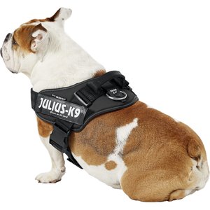 Julius-K9 IDC Powerharness Nylon Reflective No Pull Dog Harness, Black, Size 1: 26 to 33.5-in chest