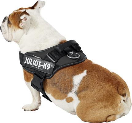 Show full view: Julius-K9 IDC Powerharness Nylon Reflective No Pull Dog Harness, Black, Size 1: 26 to 33.5-in chest slide 4 of 12