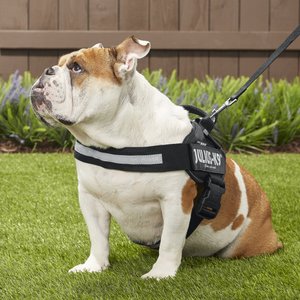 Julius-K9 IDC Powerharness Nylon Reflective No Pull Dog Harness, Black, Size 1: 26 to 33.5-in chest