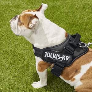 Julius-K9 IDC Powerharness Nylon Reflective No Pull Dog Harness, Black, Size 1: 26 to 33.5-in chest