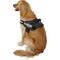 Show in main carousel: Julius-K9 IDC Powerharness Nylon Reflective No Pull Dog Harness, Black, Size 3: 32.5 to 46.5-in chest slide 4 of 12