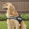 Show in main carousel: Julius-K9 IDC Powerharness Nylon Reflective No Pull Dog Harness, Black, Size 3: 32.5 to 46.5-in chest slide 5 of 12