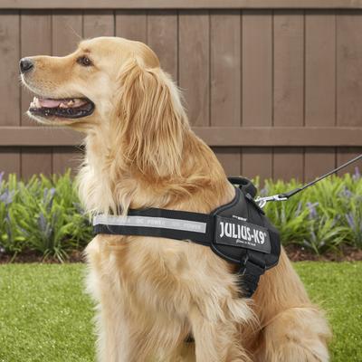 Show full view: Julius-K9 IDC Powerharness Nylon Reflective No Pull Dog Harness, Black, Size 3: 32.5 to 46.5-in chest slide 5 of 12