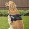 Show in main carousel: Julius-K9 IDC Powerharness Nylon Reflective No Pull Dog Harness, Black, Size 3: 32.5 to 46.5-in chest slide 6 of 12