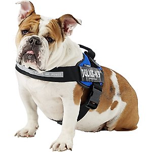 Julius-K9 IDC Powerharness Nylon Reflective No Pull Dog Harness, Blue, Size 1: 26 to 33.5-in chest
