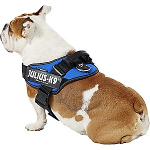 Julius-K9 IDC Powerharness Nylon Reflective No Pull Dog Harness, Blue, Size 1: 26 to 33.5-in chest