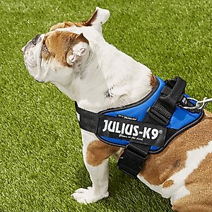 Julius-K9 IDC Powerharness Nylon Reflective No Pull Dog Harness, Blue, Size 1: 26 to 33.5-in chest