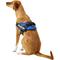 Show in main carousel: Julius-K9 IDC Powerharness Nylon Reflective No Pull Dog Harness, Blue, Size 2: 28 to 37.5-in chest slide 4 of 12