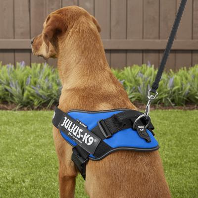 Show full view: Julius-K9 IDC Powerharness Nylon Reflective No Pull Dog Harness, Blue, Size 2: 28 to 37.5-in chest slide 6 of 12