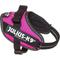 Show in main carousel: Julius-K9 IDC Powerharness Nylon Reflective No Pull Dog Harness, Dark Pink, Mini: 19.3 to 26.4-in chest slide 1 of 5