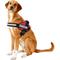 Show in main carousel: Julius-K9 IDC Powerharness Nylon Reflective No Pull Dog Harness, Red, Size 2: 28 to 37.5-in chest slide 3 of 12