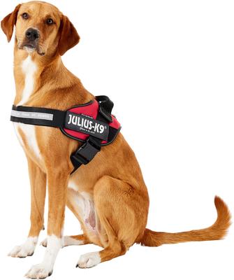Show full view: Julius-K9 IDC Powerharness Nylon Reflective No Pull Dog Harness, Red, Size 2: 28 to 37.5-in chest slide 3 of 12