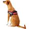 Show in main carousel: Julius-K9 IDC Powerharness Nylon Reflective No Pull Dog Harness, Red, Size 2: 28 to 37.5-in chest slide 4 of 12