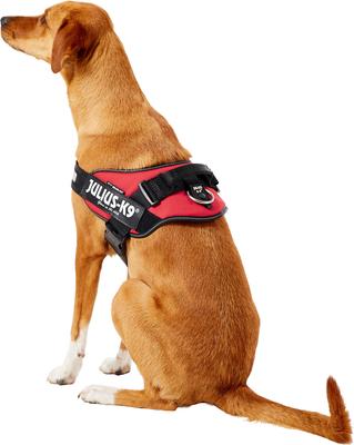 Show full view: Julius-K9 IDC Powerharness Nylon Reflective No Pull Dog Harness, Red, Size 2: 28 to 37.5-in chest slide 4 of 12