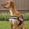 Show in main carousel: Julius-K9 IDC Powerharness Nylon Reflective No Pull Dog Harness, Red, Size 2: 28 to 37.5-in chest slide 5 of 12
