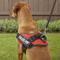 Show in main carousel: Julius-K9 IDC Powerharness Nylon Reflective No Pull Dog Harness, Red, Size 2: 28 to 37.5-in chest slide 6 of 12