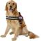 Show in main carousel: Julius-K9 IDC Powerharness Nylon Reflective No Pull Dog Harness, Red, Size 3: 32.5 to 46.5-in chest slide 3 of 12