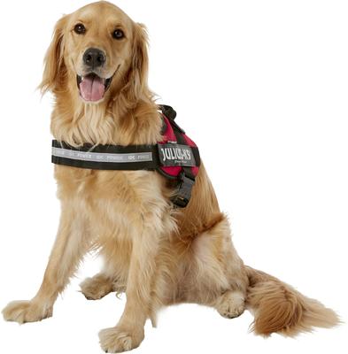 Show full view: Julius-K9 IDC Powerharness Nylon Reflective No Pull Dog Harness, Red, Size 3: 32.5 to 46.5-in chest slide 3 of 12