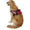 Show in main carousel: Julius-K9 IDC Powerharness Nylon Reflective No Pull Dog Harness, Red, Size 3: 32.5 to 46.5-in chest slide 4 of 12