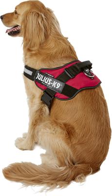 Show full view: Julius-K9 IDC Powerharness Nylon Reflective No Pull Dog Harness, Red, Size 3: 32.5 to 46.5-in chest slide 4 of 12