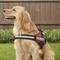 Show in main carousel: Julius-K9 IDC Powerharness Nylon Reflective No Pull Dog Harness, Red, Size 3: 32.5 to 46.5-in chest slide 5 of 12