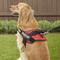 Show in main carousel: Julius-K9 IDC Powerharness Nylon Reflective No Pull Dog Harness, Red, Size 3: 32.5 to 46.5-in chest slide 6 of 12