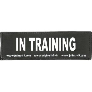 Julius-K9 In Training Dog Patch, Large