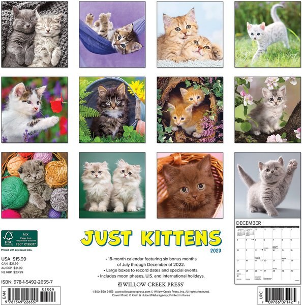 Just Kittens 2023 Wall Calendar