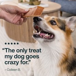 JustFoodForDogs Beef Brisket Dehydrated Dog Treats, 5-oz bag slide 2 of 7