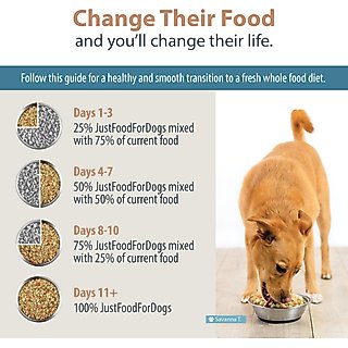 JustFoodForDogs Chicken & Rice Recipe Frozen Human-Grade Fresh Dog Food, 18-oz pouch, case of 7 slide 9 of 9