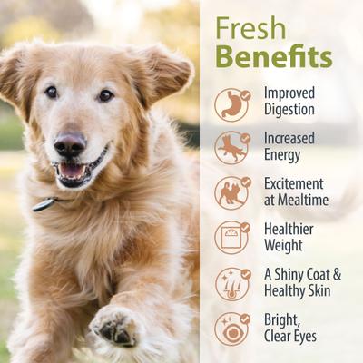 Show full view: JustFoodForDogs Fresh Starter Pack + Pantry Fresh Variety Pack Fresh Dog Food slide 9 of 10