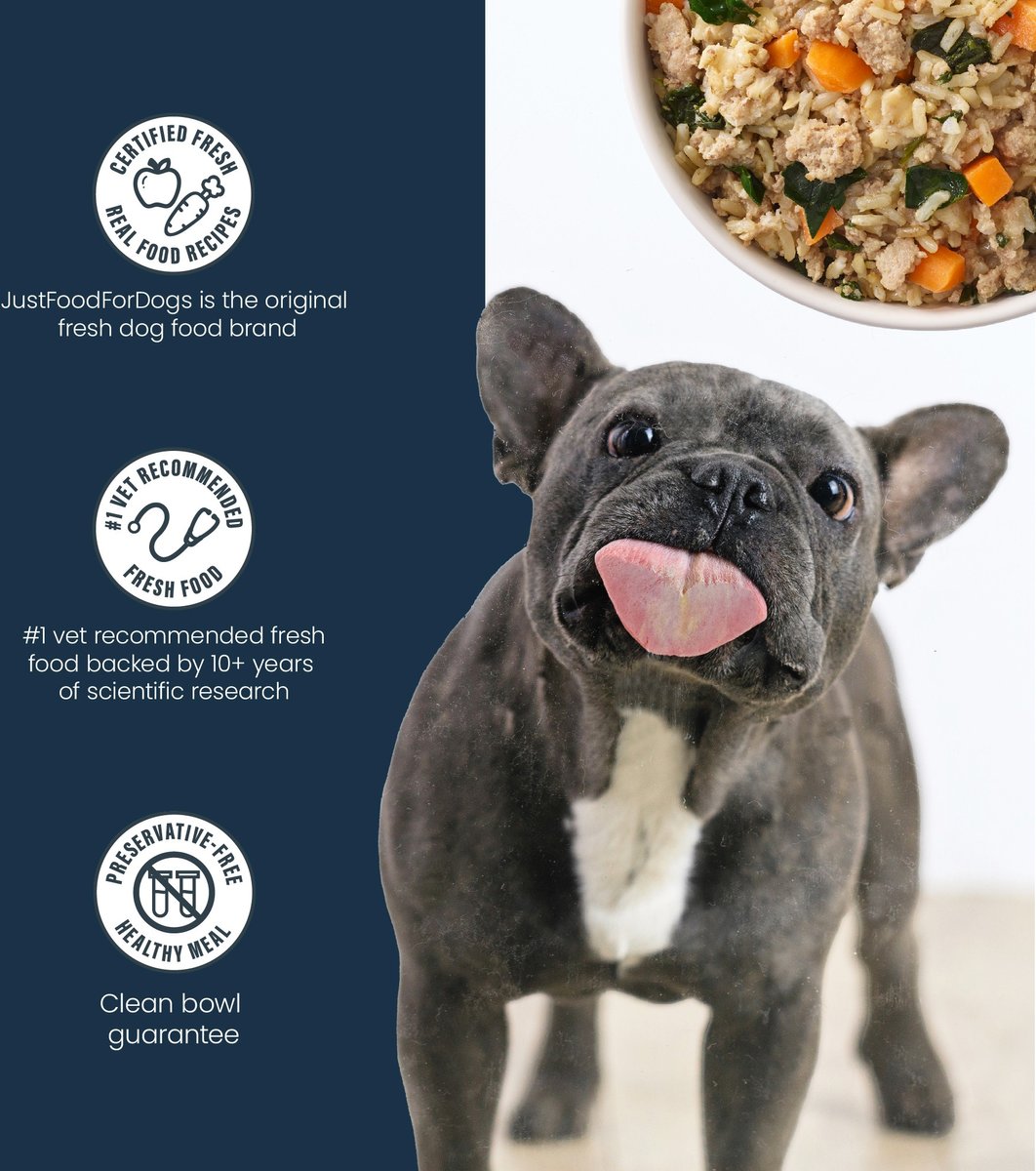 Bulldog Puppies French Bulldog Homemade Food Recipes Raw Diet