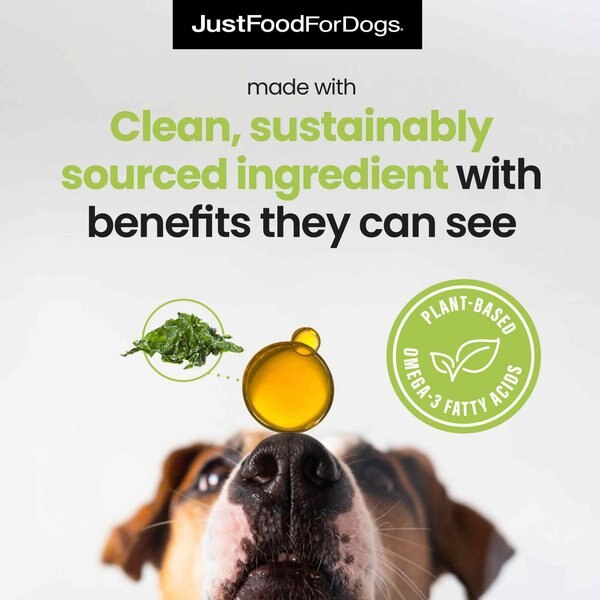 JustFoodForDogs Joint Care Plus Capsule Joint Health Supplement for Dogs, 60 count