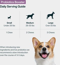 JustFoodForDogs Probiotic Booster Gut, Digestive Health Support, Diarrhea, Human Grade Ingredients Soft Chews Supplement for Dogs, 45 count slide 2 of 8