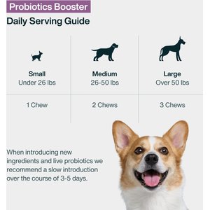 JustFoodForDogs Probiotic Booster Gut, Digestive Health Support, Diarrhea, Human Grade Ingredients Soft Chews Supplement for Dogs, 45 count